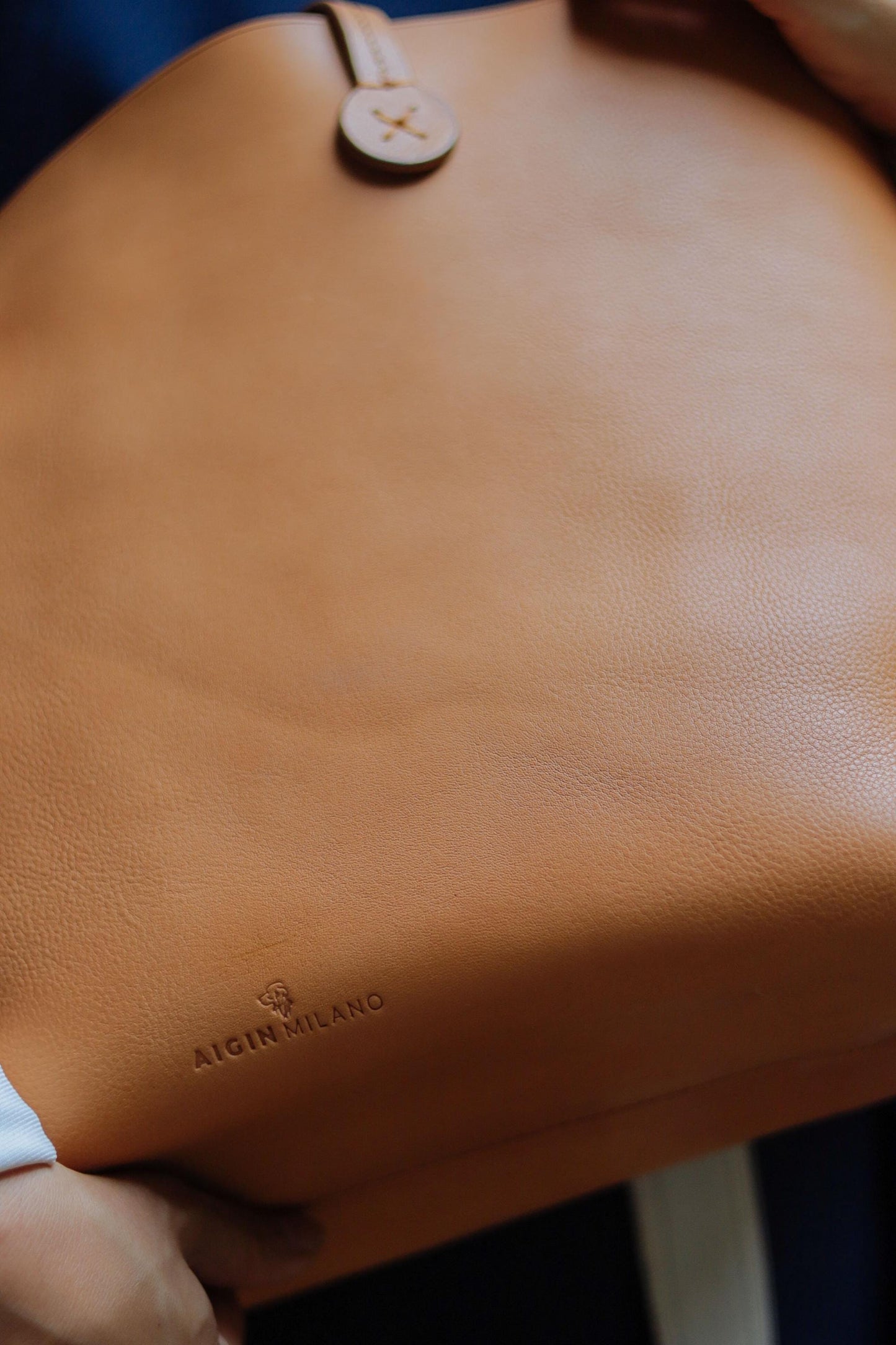 The Shoulder Bag